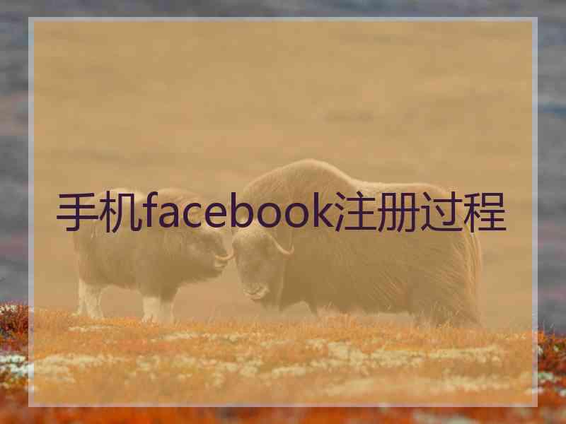 手机facebook注册过程