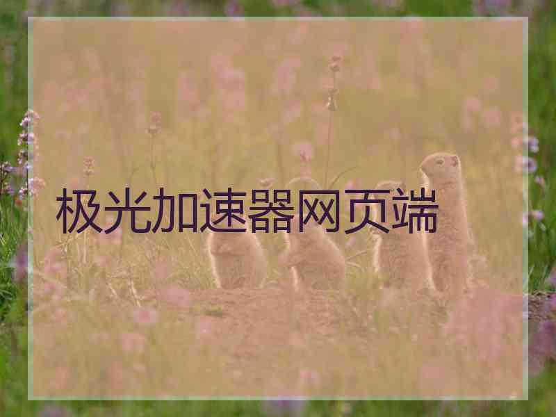 极光加速器网页端
