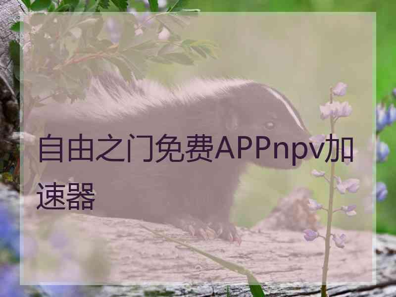 自由之门免费APPnpv加速器