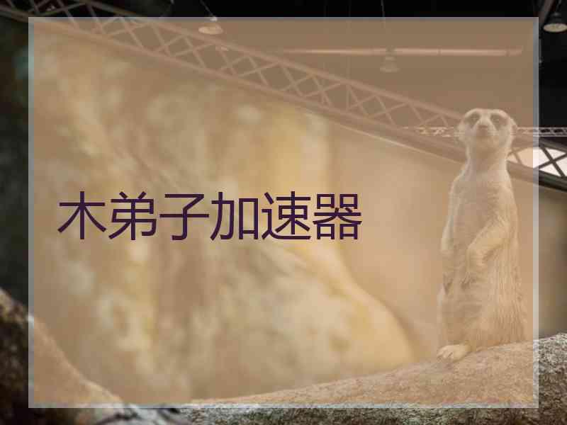 木弟子加速器