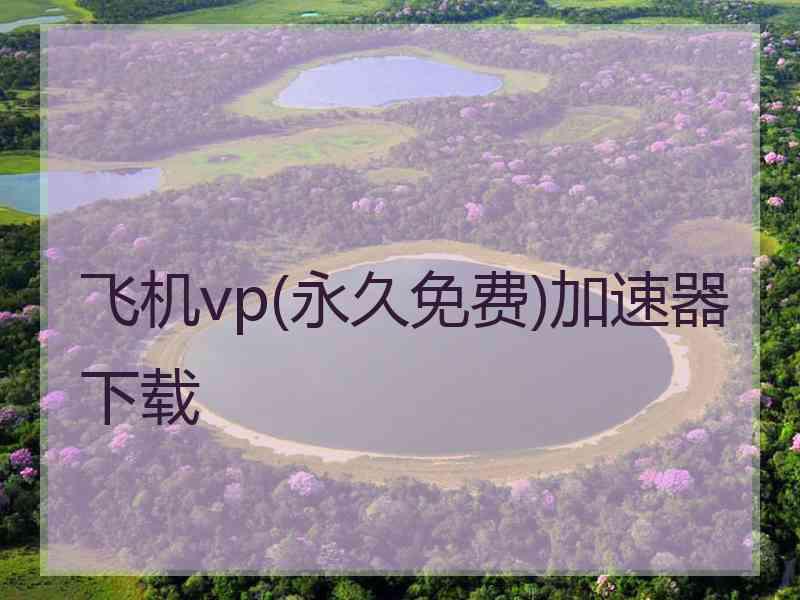 飞机vp(永久免费)加速器下载