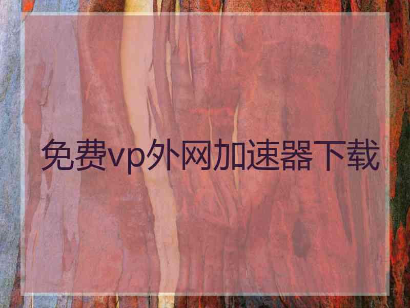 免费vp外网加速器下载