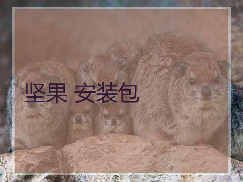坚果 安装包
