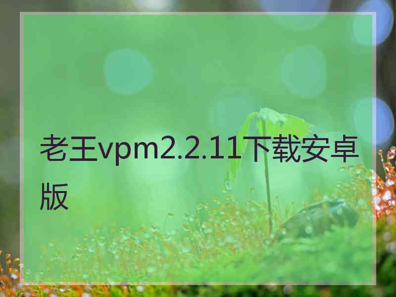 老王vpm2.2.11下载安卓版