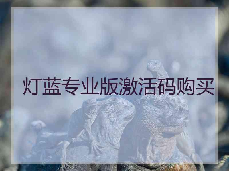 灯蓝专业版激活码购买