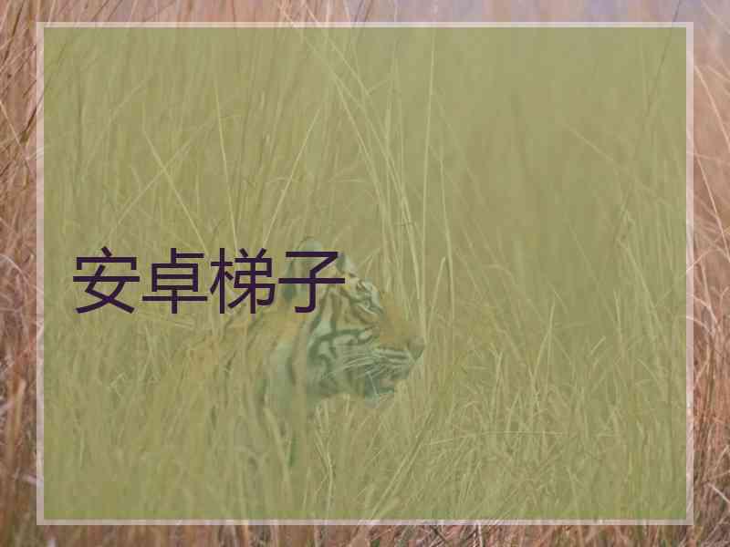 安卓梯子