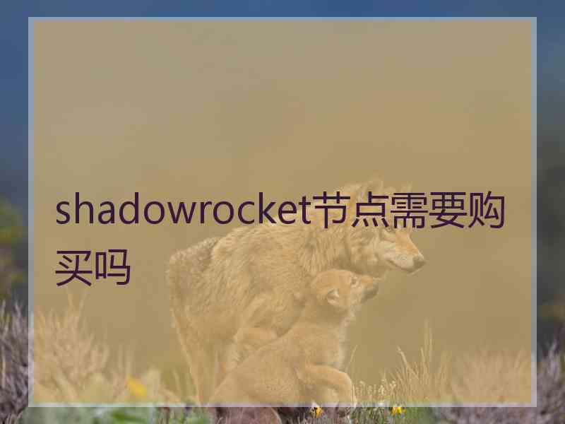 shadowrocket节点需要购买吗
