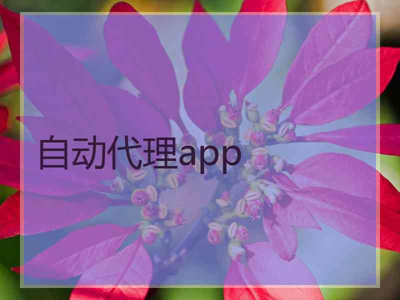 自动代理app