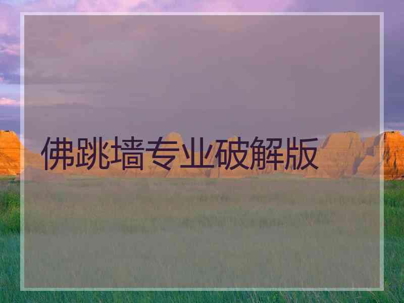 佛跳墙专业破解版