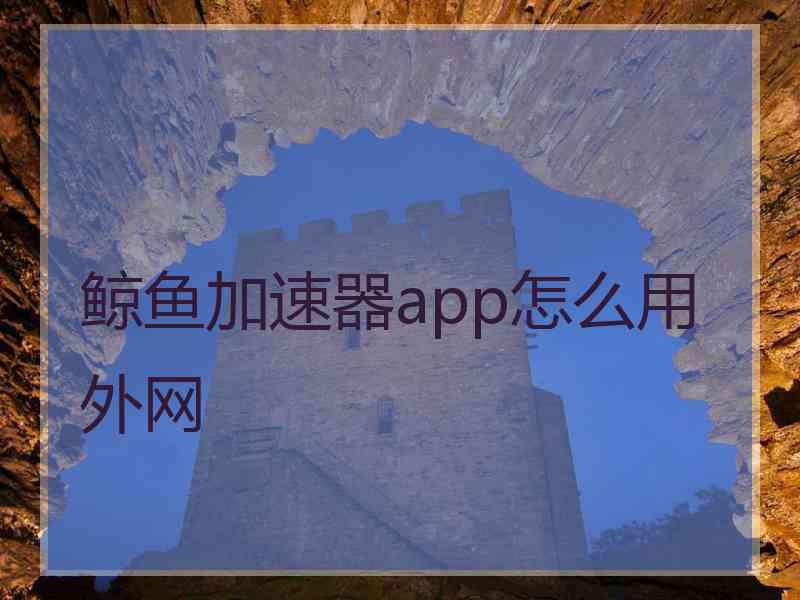 鲸鱼加速器app怎么用外网