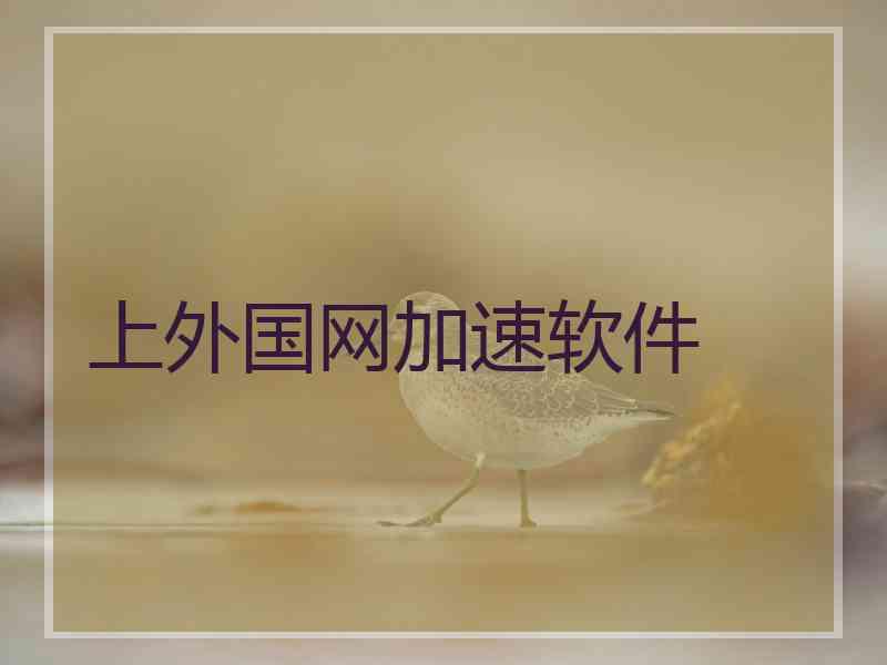 上外国网加速软件