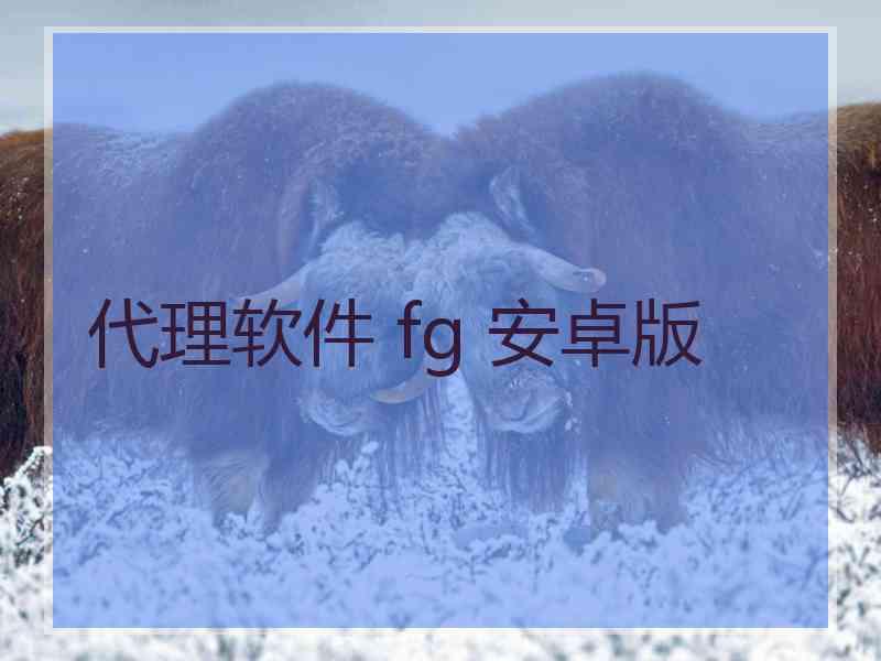 代理软件 fg 安卓版