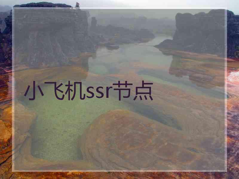 小飞机ssr节点