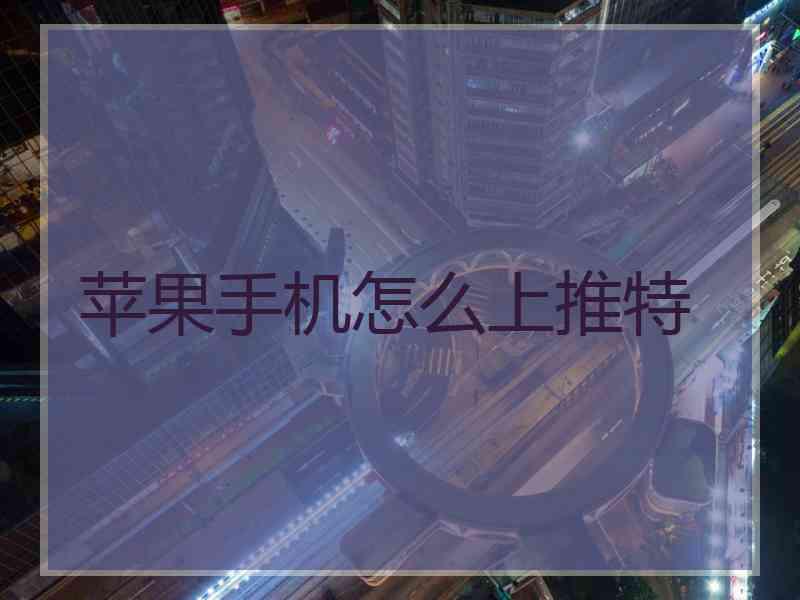 苹果手机怎么上推特