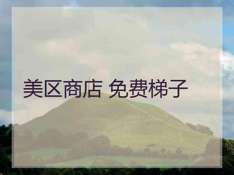 美区商店 免费梯子