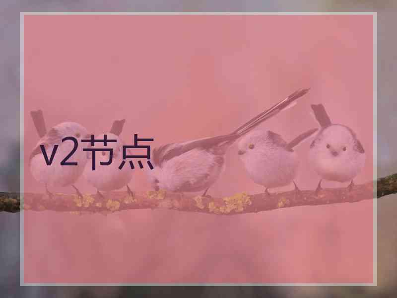 v2节点