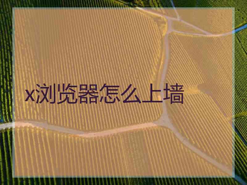 x浏览器怎么上墙