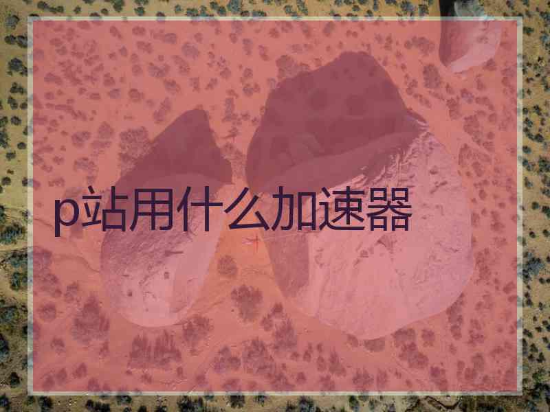 p站用什么加速器