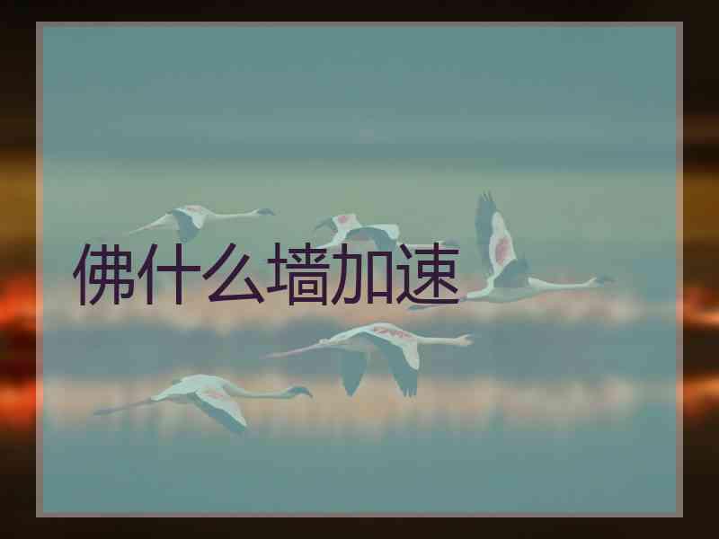 佛什么墙加速