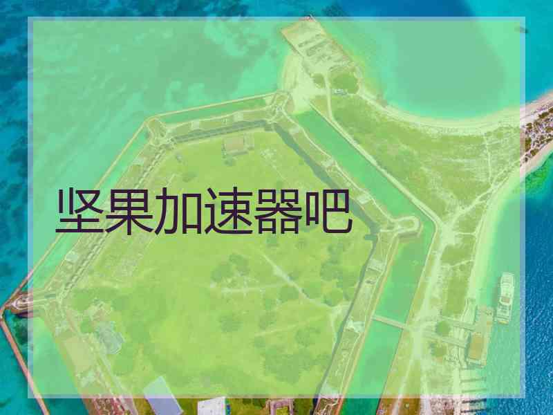 坚果加速器吧