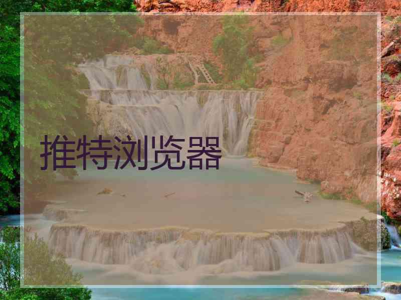 推特浏览器