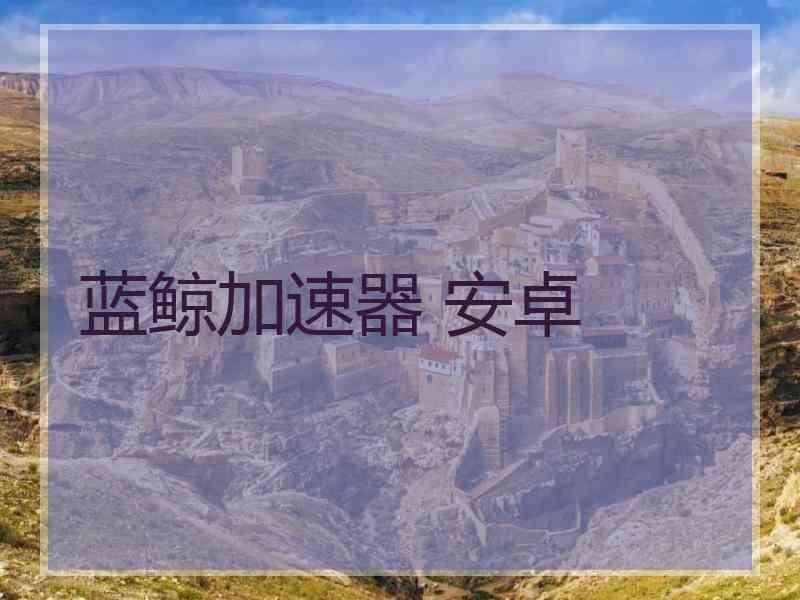 蓝鲸加速器 安卓