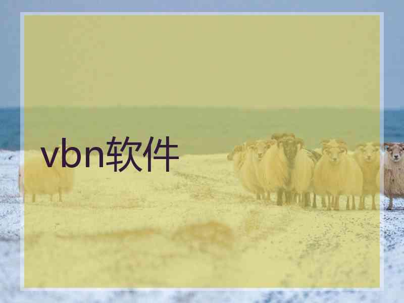 vbn软件