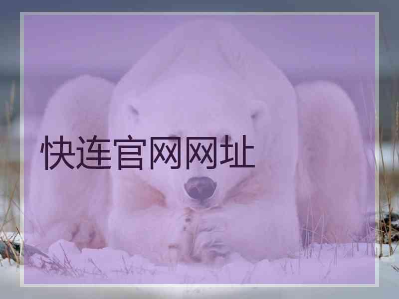 快连官网网址