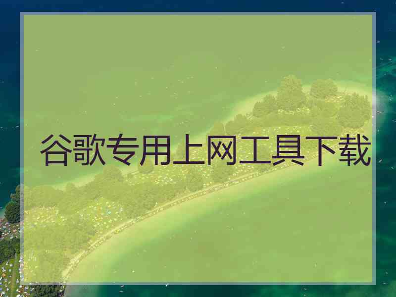 谷歌专用上网工具下载