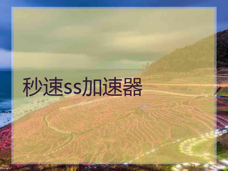 秒速ss加速器