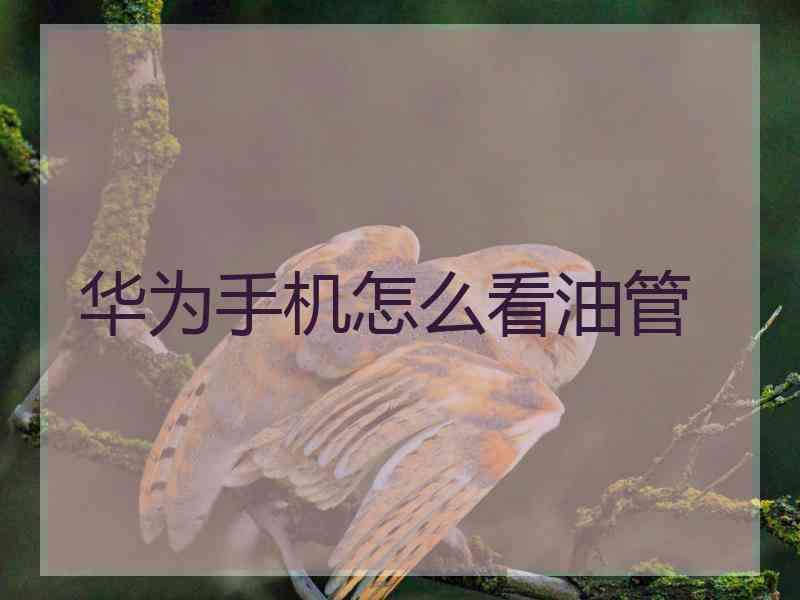 华为手机怎么看油管
