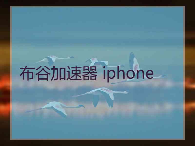 布谷加速器 iphone