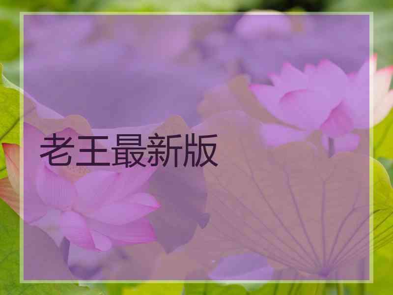 老王最新版