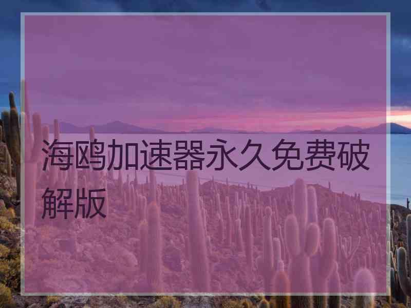 海鸥加速器永久免费破解版