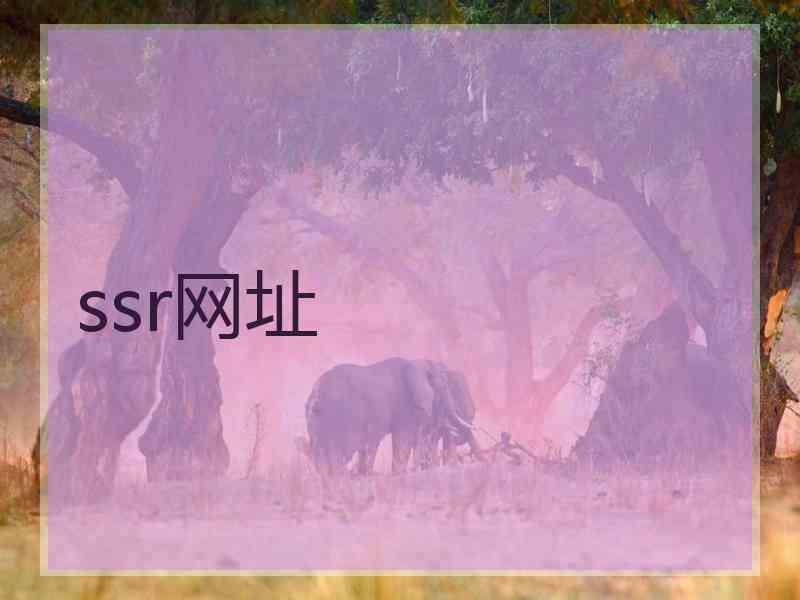 ssr网址