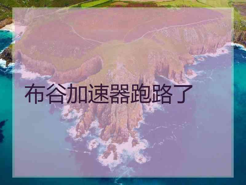 布谷加速器跑路了