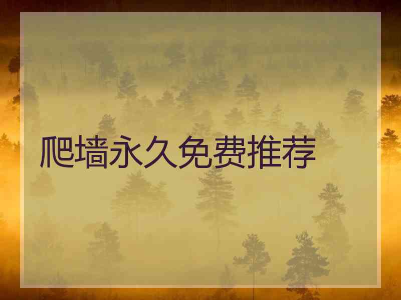 爬墙永久免费推荐