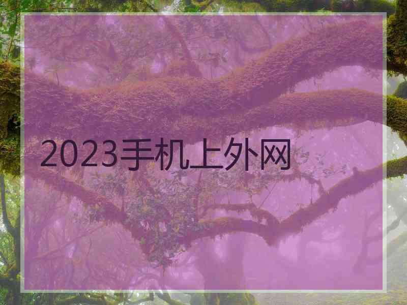 2023手机上外网