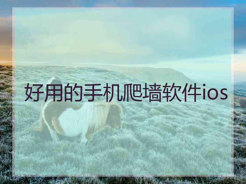好用的手机爬墙软件ios