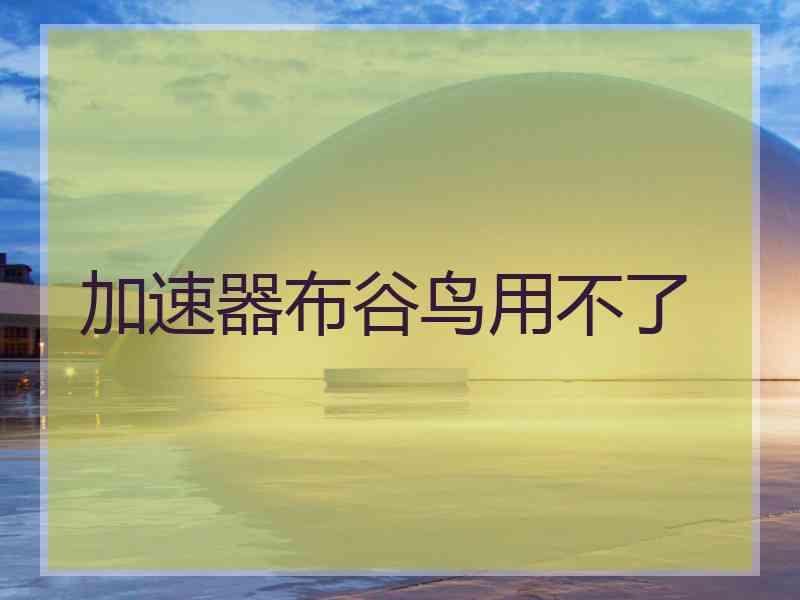 加速器布谷鸟用不了