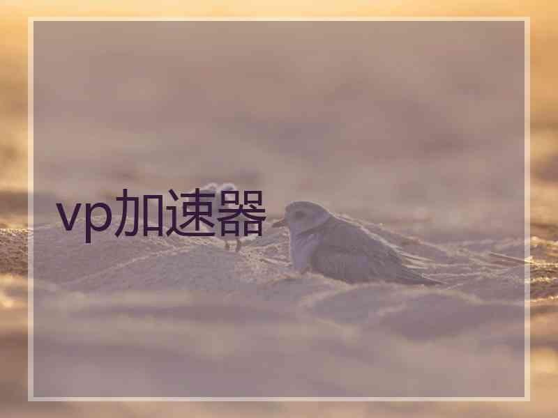vp加速器