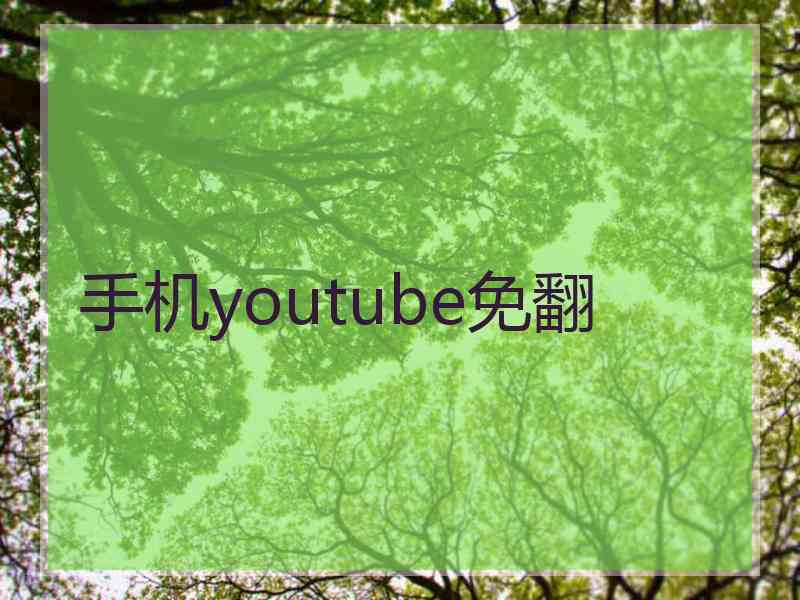 手机youtube免翻