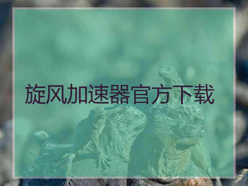 旋风加速器官方下载