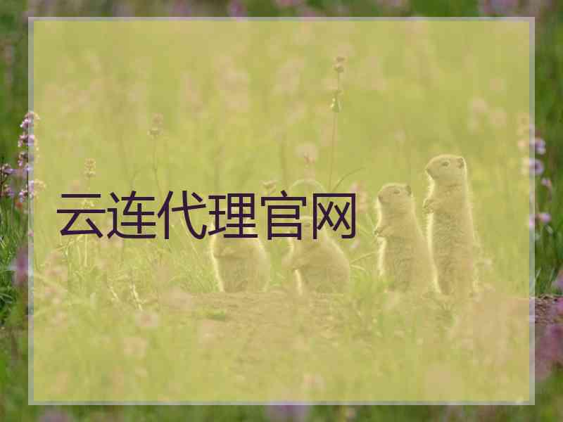 云连代理官网