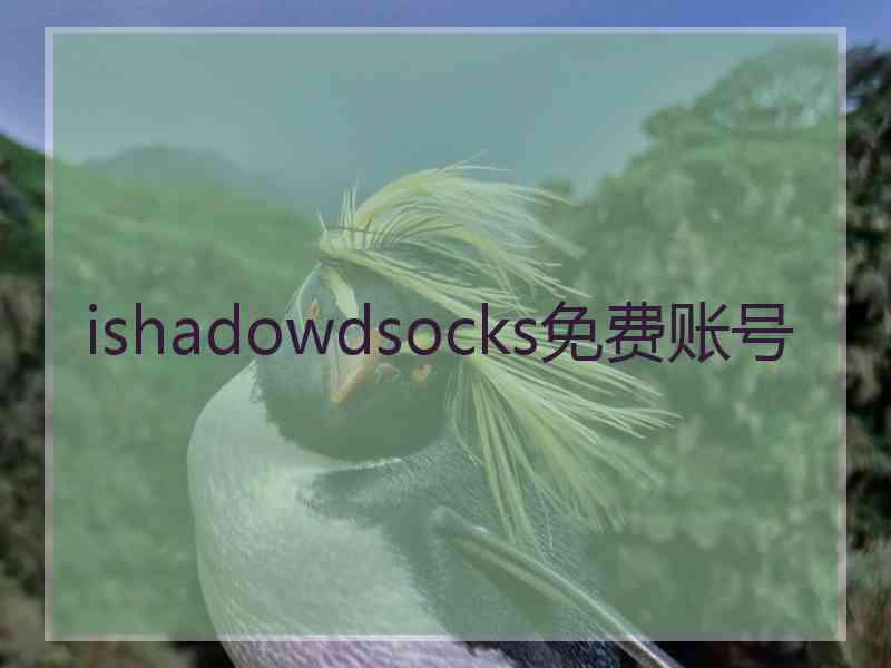 ishadowdsocks免费账号