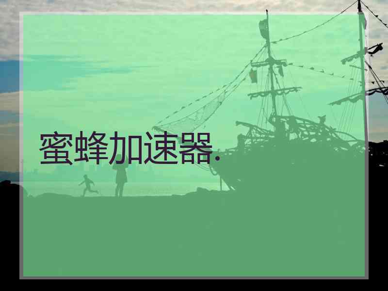 蜜蜂加速器.