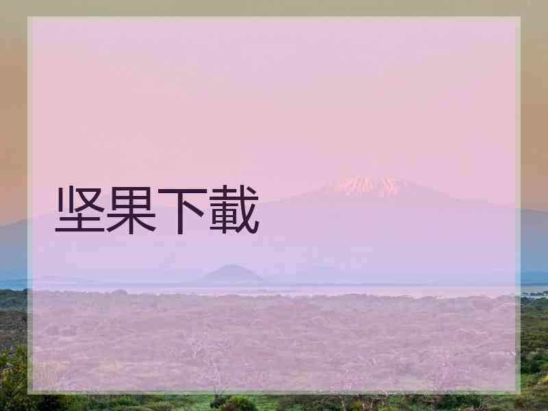 坚果下載