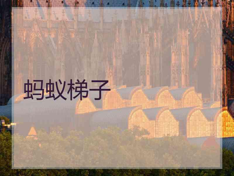 蚂蚁梯子