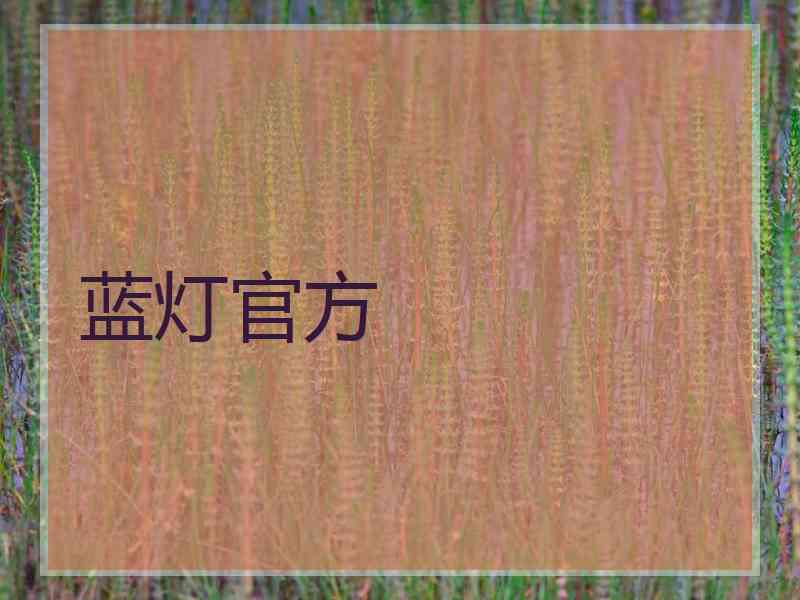 蓝灯官方