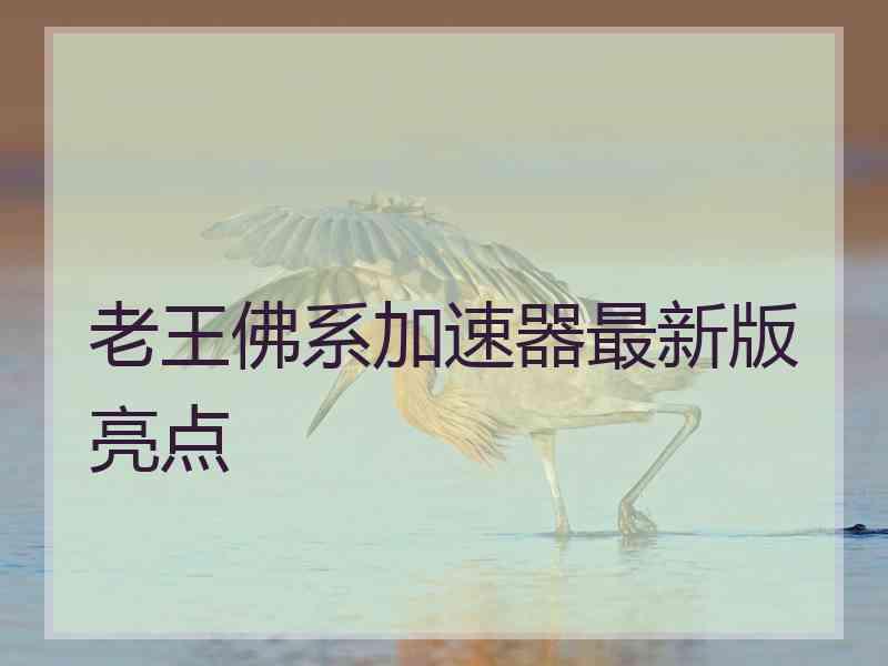 老王佛系加速器最新版亮点